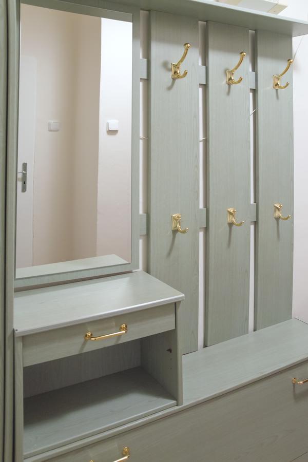 Modern Apartment Krakovska プラハ エクステリア 写真
